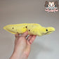 Banana eel plush (1mm minky)