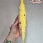 Banana eel plush (mochi, embroidered eyes)