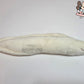 Banana p-eel plush (minky)