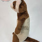 SEWING PATTERN - Ferret plush with clown costume